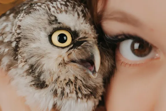 Парадайс Казино Поддръжка